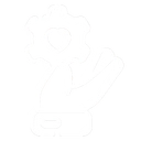 Features image